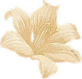 Melas Spa & Wellness